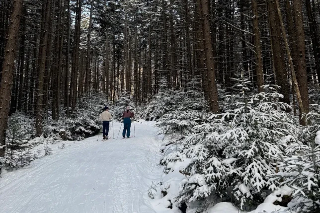 Blueberry Lake Cross Country Ski Center groomed trails and mountain views Vermont