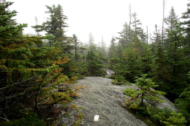 Long Trail hiking path along the Green Mountains of Vermont - by Amanda Churchill